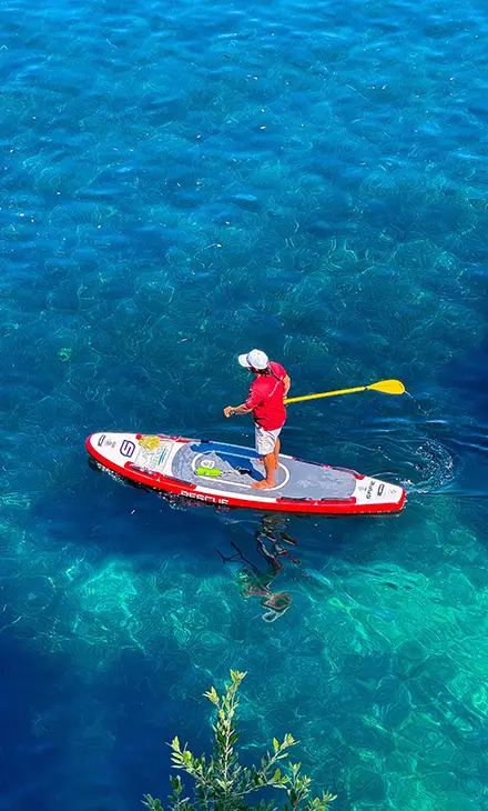 Person standing on a paddleboard with paddle, on hand on turquoise waters and an olive branch protruding from the bottom