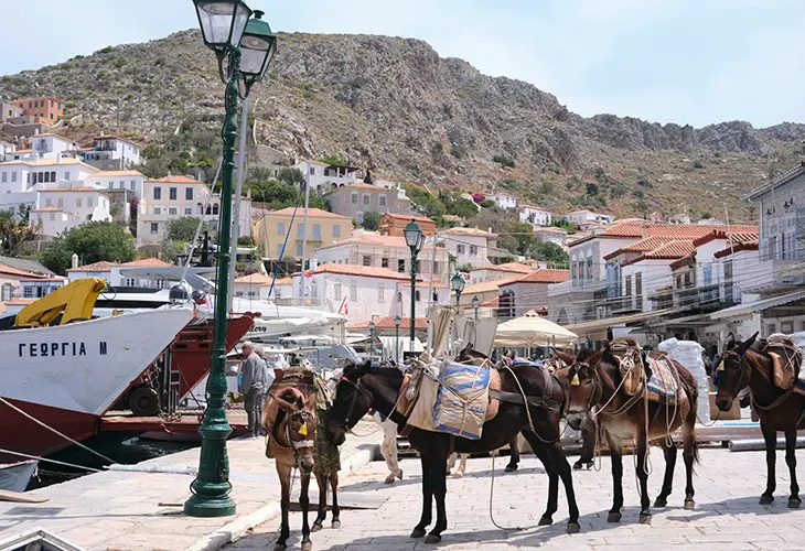 Donkeys on a harbour pier, and the town of Hydra spreading up the hill